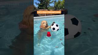 #ad we’re putting the @beatbotglobal Sora 70 AI Pool Cleaner to WORK! #Beatbot #Sora70 #SmartPool