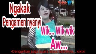 Download Lagu Viral NGAKAK. Pengamen nyanyi wik wik wik aw konyol | Video viral MP3