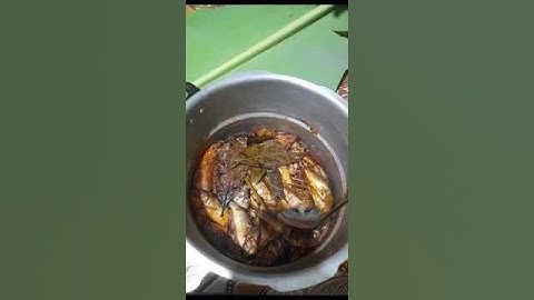Thumbnail of Pindang Ikan Mas #short #subscribe  #shortsvideo