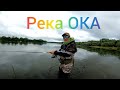 Рыбалка на Спиннинг / РЕКА ОКА. СТУПИНО. ПОИСК ХИЩНИКА. #NEKFISH.