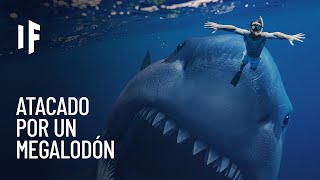 Thumbnail image for ¿Qué pasaría si te atacara un megalodón?