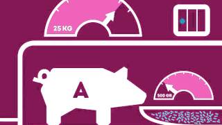 Nedap Pig Performace Testing
