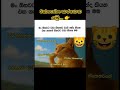 අහ්හ්... 🐱 #shrots #videovlog #youtube