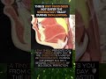 THIS IS WHY FOOD DOES NOT ENTER THE RESPIRATORY TR