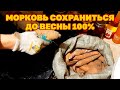 ХРАНЕНИЕ БЕЗ ПОТЕРЬ МОРКОВЬ ДО СЛЕДУЮЩЕГО УРОЖАЯ