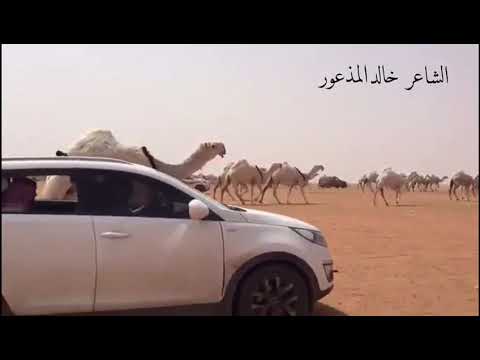 الشاعر خالد المذعور ياسعود قلبي 2017