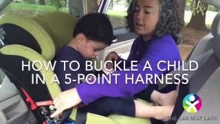 button down shirt car seat trick