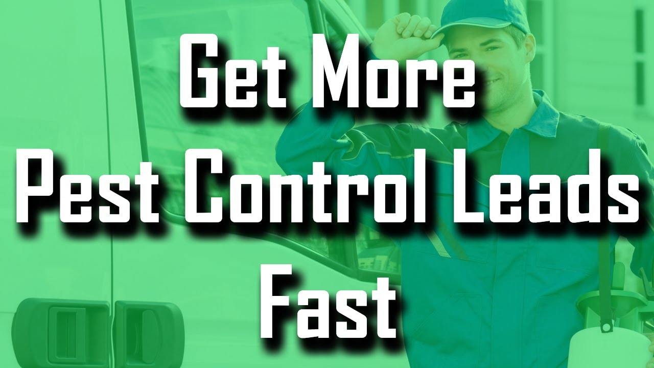 Pest Control Leads - How to Get the Best Leads Fast - YouTube