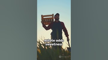 The Role of Real Estate in a Diversified Investment Portfolio! #portfolio #investing #investments