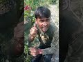 এই সেই লজ্জাপতি #farming #farmer #plants