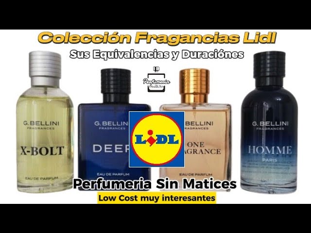 Equivalencias Perfumes Lidl【 Hombre