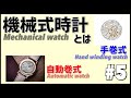 【機械式時計の基礎】何もしないと動かない？機械式時計とは   手巻式と自動巻式　ウオッチコーディネーター検定#5