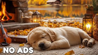 12 Hours Of Dog Calming Music 🎵 Relaxing Sleep Music for Dogs 💖 Calm Puppy Nights 🐕 No Ads