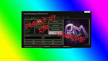[BO2/1.19/RTM] PassiveV4 RTM Tool (hide IP, globe name ect.)
