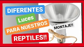 ILUMINACIÓN PARA REPTILES 😎🐢🐍🦎