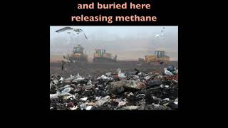 Baltimore, Stop burning and burying food!