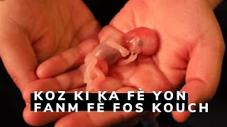 Fos Kouch----Kisa Li Ye? E Kisa Ki Ka Koz Yon Fanm Fè Li?  | Pourquoi Fait-On Une Fausse Couche? |