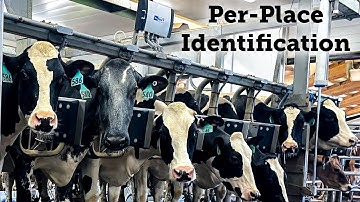 Per Place Identification, RFID solution system (English)