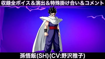 孫悟飯(SH)のゲーム収録全ボイス＆特殊掛け合い集＆図鑑コメント＆ブラスト、アルティメット【Sparking Zero、スパーキングゼロ、野沢雅子、ドラゴンボール超、SUPER HERO、DLC】