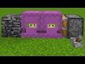 shulker + shulker = ???