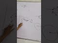 Electric Potential / Class - XII / JEE / NEET / 9477522774 / 7980915378