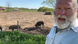 Uses for Biochar: build some soil!