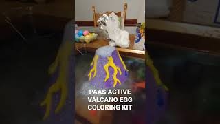 Celebrity PAAS Volcano Egg Decorating Color Kit Net Worth