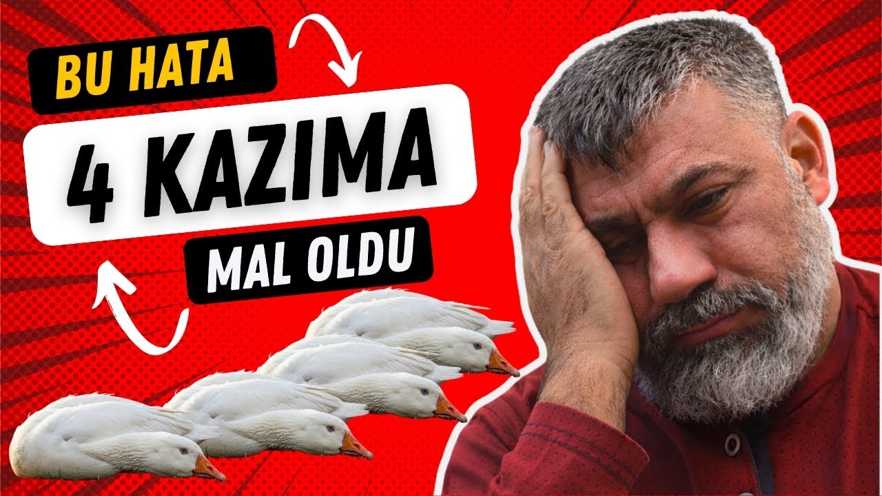 BU HATA 4 KAZIMA MAL OLDU