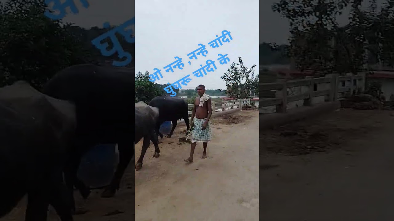 Nanna nanna ghunghru Chandi ka bera paraasi