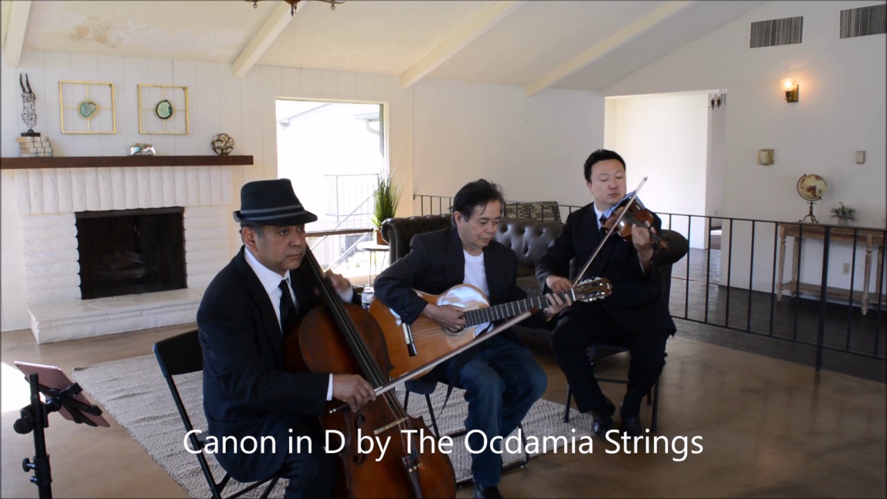 OMG: Wedding String Trio Canon in D (Pachelbel) - YouTube