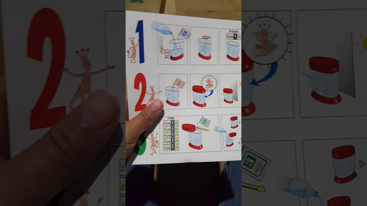 Sea monkeys on mars in boxing