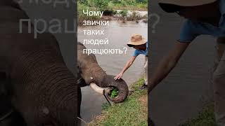 Звички великих людей: шлях до успіху #Успіх #ЗвичкиЛідерів #Мотивація #ОсобистийРозвиток #Щоденний