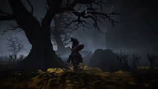 Fix Nepheli Loux NPC spawn issues after Godrick boss battle. Elden Ring tutorial.