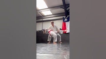 Aikido Tenshin Toukon Dojo Martial Arts #shorts #aikido #martialarts