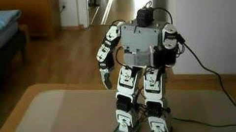 Bioloid swings left arm