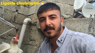 Youtube Kımın Ilk Videosu