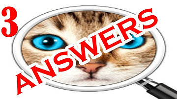 Guess the Pic! 2 ~ Photo Quiz Level 3 - All Answers - Walkthrough