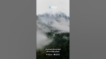 تلاوة خاشعة تبعث النور في القلب 🌿 | بصوت الشيخ ياسر الدوسري | سورة الأحزاب