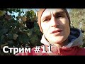 Стрим 11. Отвечаю На Вопросы Про Собак