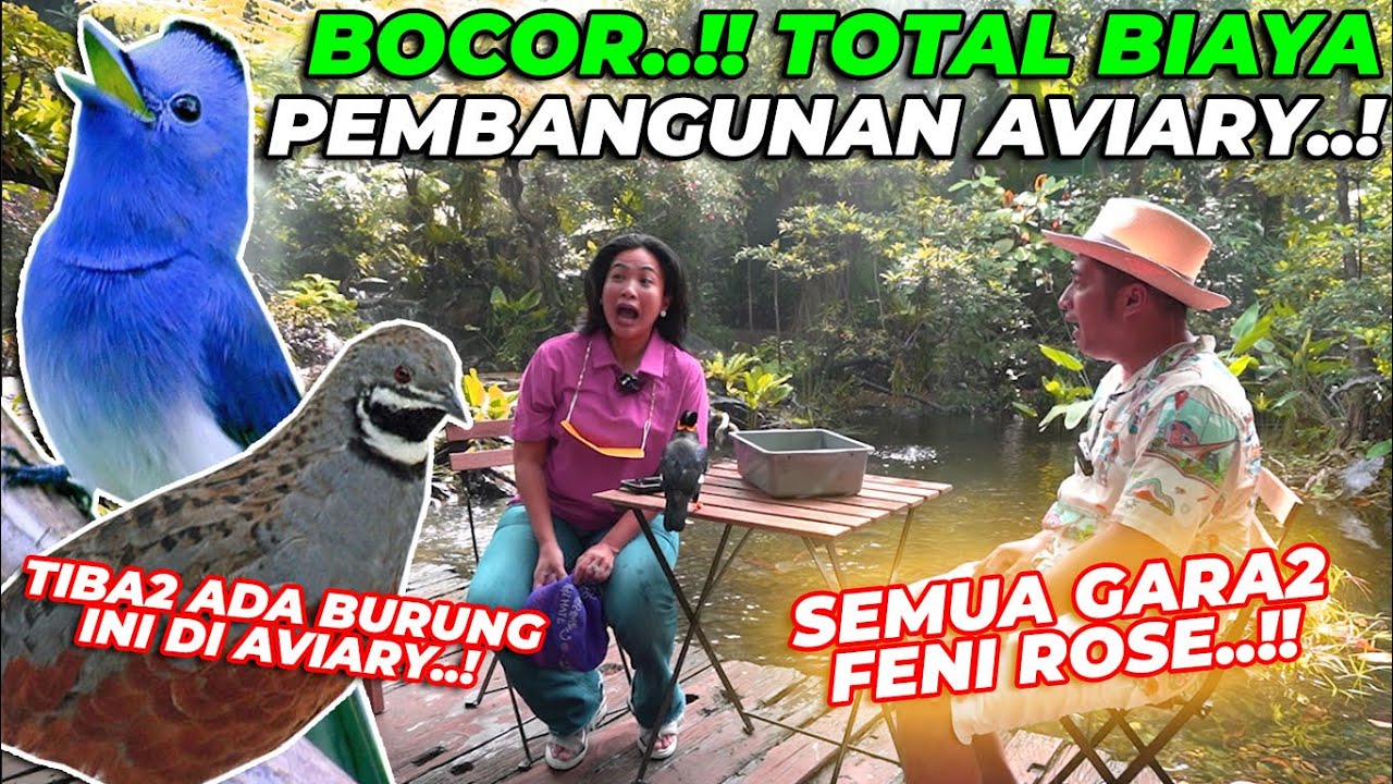BOCOR, TOTAL BIAYA PEMBANGUNAN AVIARY..! SEMUA GARA2 FENI ROSE..!