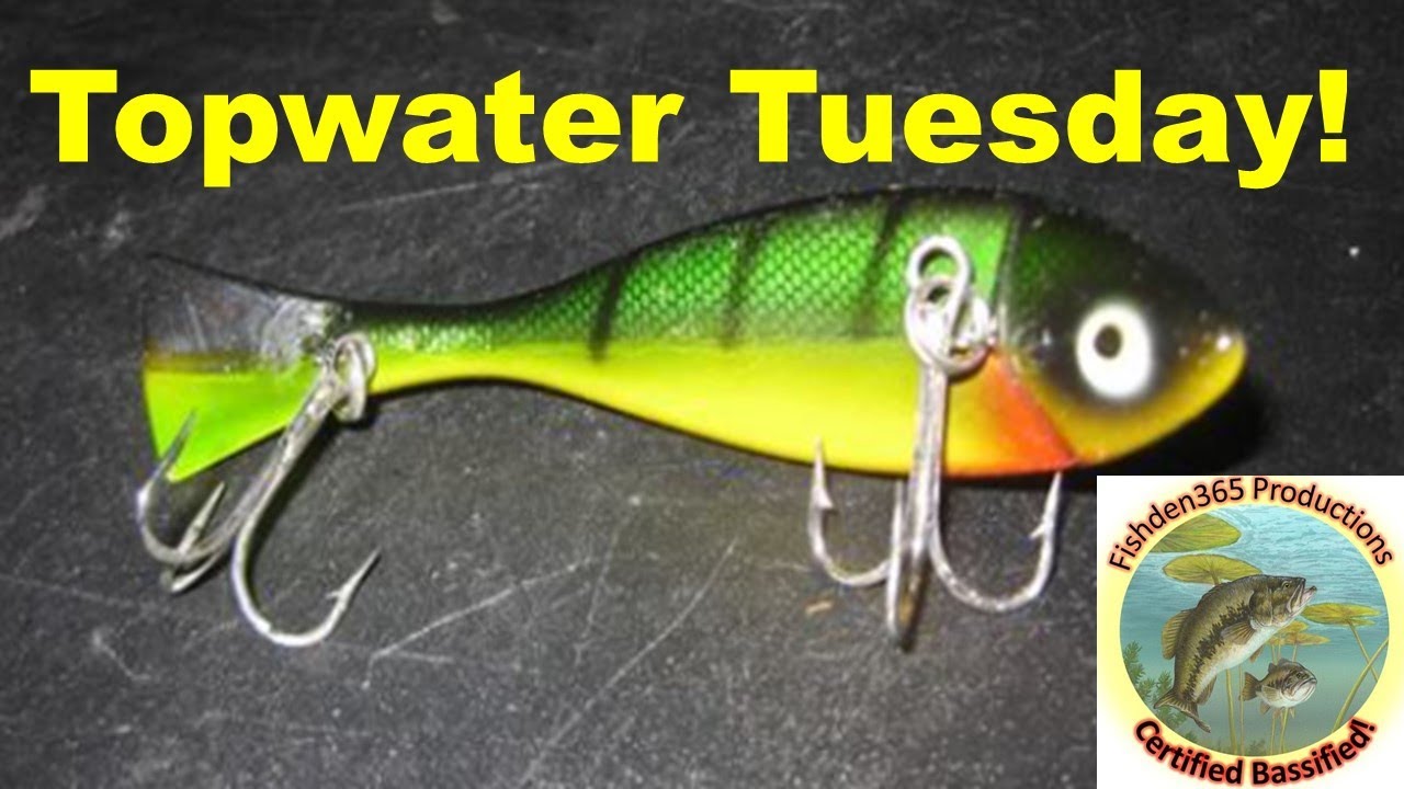 Will this bait catch fish? - YouTube