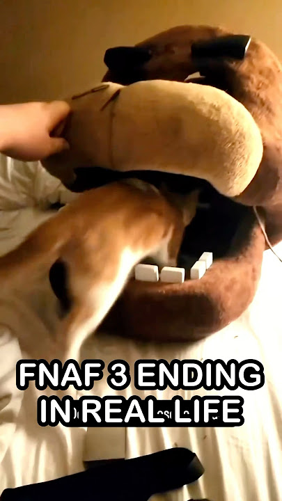 FNaF 3 Ending In REAL LIFE | FNaF 2 Movie MEME