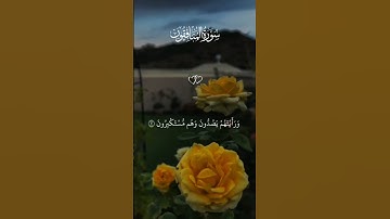 " وإذا قيل لهم تعالوا يستغفر لكم رسول الله لوَّوا رؤوسهم ..." الآيات🌿🌿