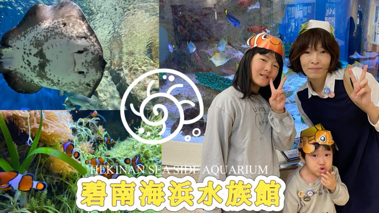 入館料500円でお土産もかわいい🩷碧南海浜水族館にきました！@VLOGMiyuYucchiVlog 