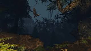 LOTRO Unreleased Soundtrack - Traveling Through Emyn Lum