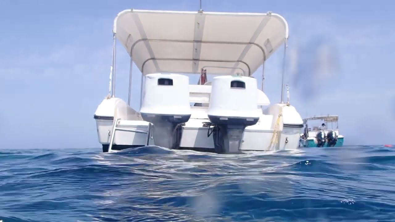 7 Sisters Abu Galawa. Yanbu KSA. 22nd April 2023