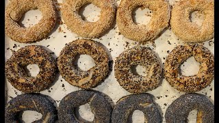 MONTREAL STYLE BAGELS  Easy Recipe and Instructions