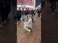 【バズったパフォーマーの鉄板技】ロボモン