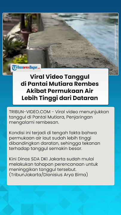 MENDEBARKAN! Video Tanggul di Pantai Mutiara Rembes Akibat Permukaan Air Lebih Tinggi dari Daratan