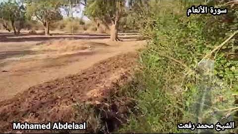 قيثارة السماء صوت الخلود الشيخ الجليل محمد رفعت وتلاوة عذبه وما تيسر من سورة "الأنعام" رحمه الله